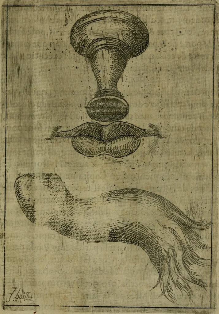An illustration from Modelles, artifices de fev, et divers instrvmes de gverre : avec les moyes de s'en prevaloir : pour assieger, battre, surprendre, et deffendre toutes places : vtiles et necessaires a touvs cevx qvi fond profession des armes, 1598, leaf 18