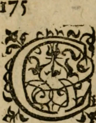 An illustration from Modelles, artifices de fev, et divers instrvmes de gverre : avec les moyes de s'en prevaloir : pour assieger, battre, surprendre, et deffendre toutes places : vtiles et necessaires a touvs cevx qvi fond profession des armes, 1598, leaf 189