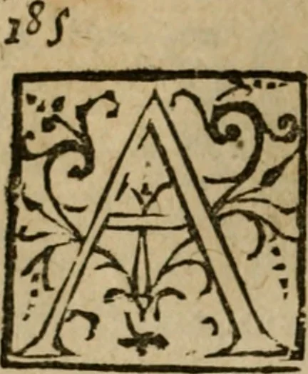 An illustration from Modelles, artifices de fev, et divers instrvmes de gverre : avec les moyes de s'en prevaloir : pour assieger, battre, surprendre, et deffendre toutes places : vtiles et necessaires a touvs cevx qvi fond profession des armes, 1598, leaf 199