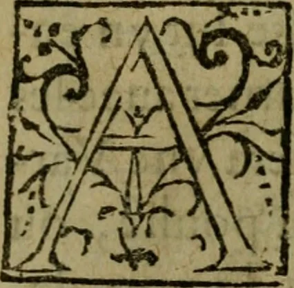 An illustration from Modelles, artifices de fev, et divers instrvmes de gverre : avec les moyes de s'en prevaloir : pour assieger, battre, surprendre, et deffendre toutes places : vtiles et necessaires a touvs cevx qvi fond profession des armes, 1598, leaf 80