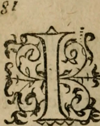 An illustration from Modelles, artifices de fev, et divers instrvmes de gverre : avec les moyes de s'en prevaloir : pour assieger, battre, surprendre, et deffendre toutes places : vtiles et necessaires a touvs cevx qvi fond profession des armes, 1598, leaf 95