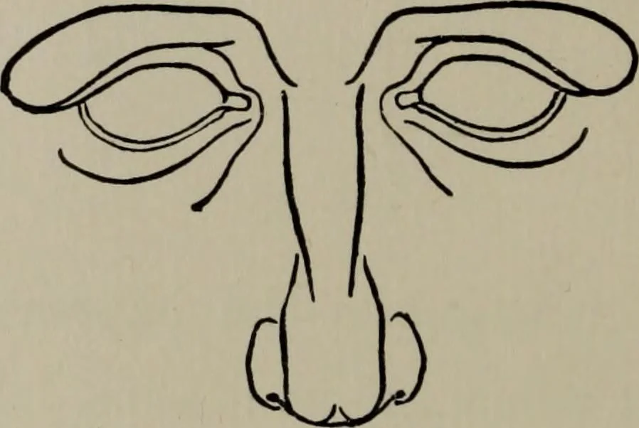 An illustration from Modelling; a guide for teachers and students, 1902, leaf 131