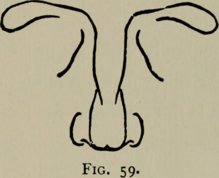 An illustration from Modelling; a guide for teachers and students, 1902, leaf 132