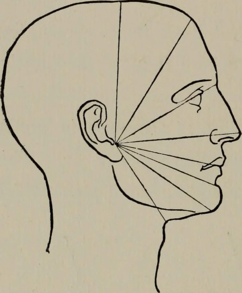 An illustration from Modelling; a guide for teachers and students, 1902, leaf 133
