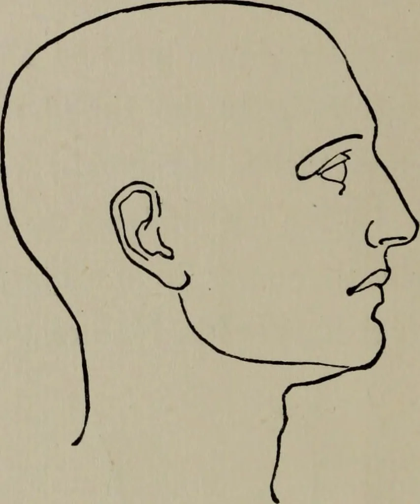 An illustration from Modelling; a guide for teachers and students, 1902, leaf 133