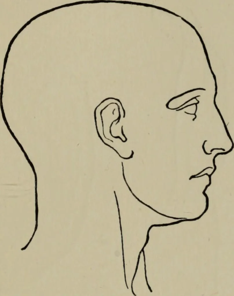 An illustration from Modelling; a guide for teachers and students, 1902, leaf 134