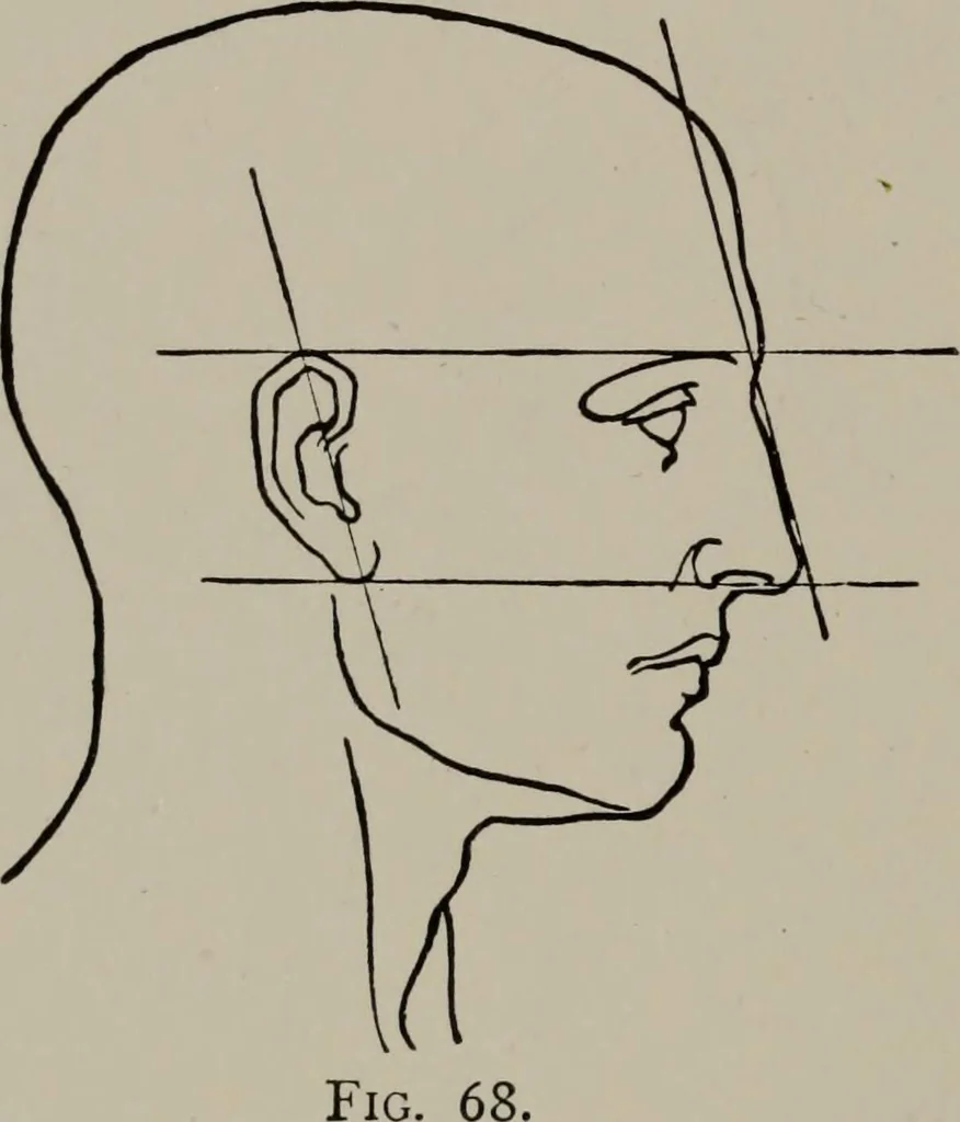 An illustration from Modelling; a guide for teachers and students, 1902, leaf 135
