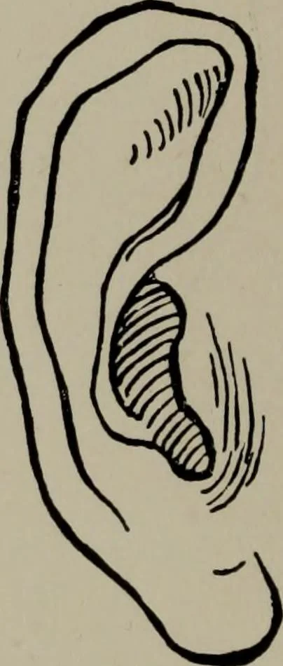 An illustration from Modelling; a guide for teachers and students, 1902, leaf 135