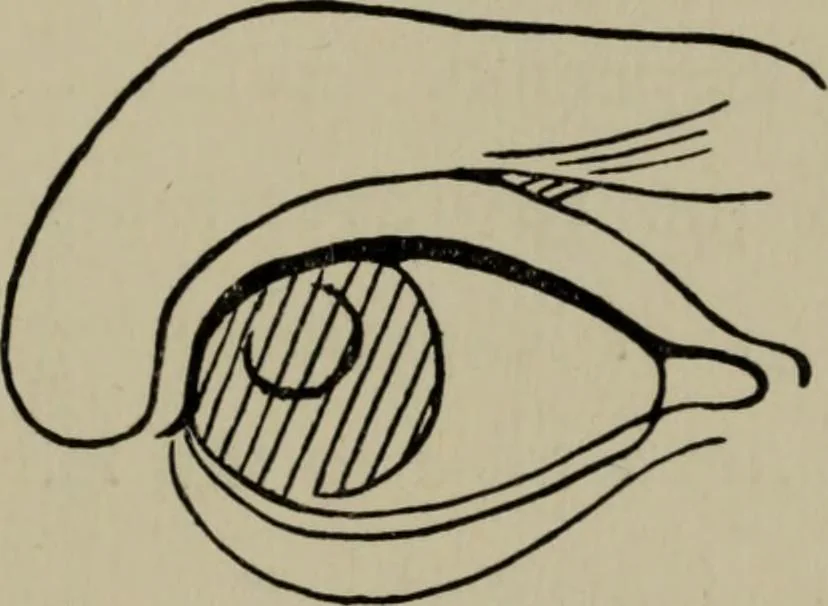An illustration from Modelling; a guide for teachers and students, 1902, leaf 138
