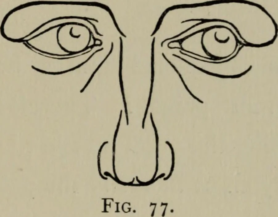 An illustration from Modelling; a guide for teachers and students, 1902, leaf 138