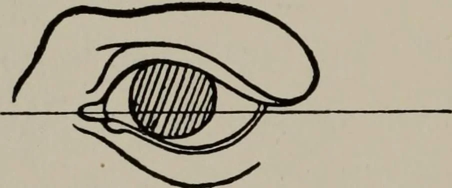 An illustration from Modelling; a guide for teachers and students, 1902, leaf 139