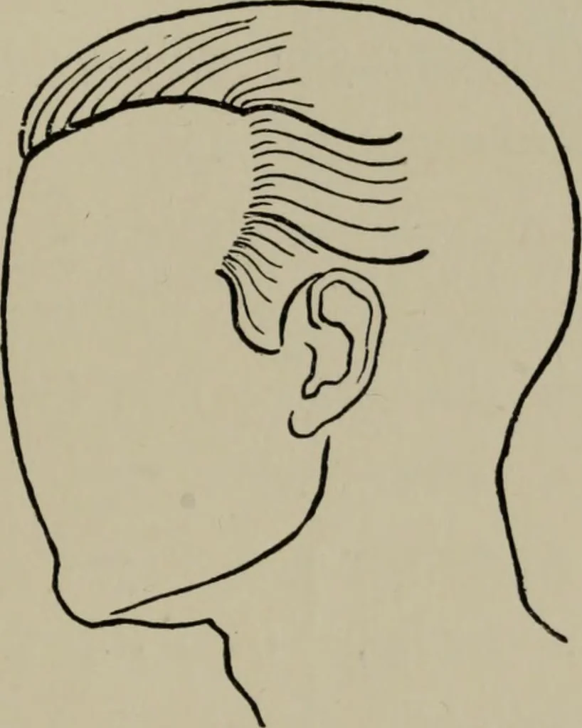 An illustration from Modelling; a guide for teachers and students, 1902, leaf 140