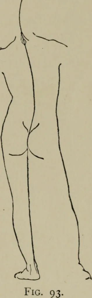 An illustration from Modelling; a guide for teachers and students, 1902, leaf 156