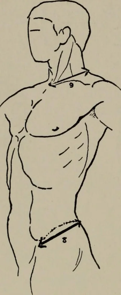 An illustration from Modelling; a guide for teachers and students, 1902, leaf 169