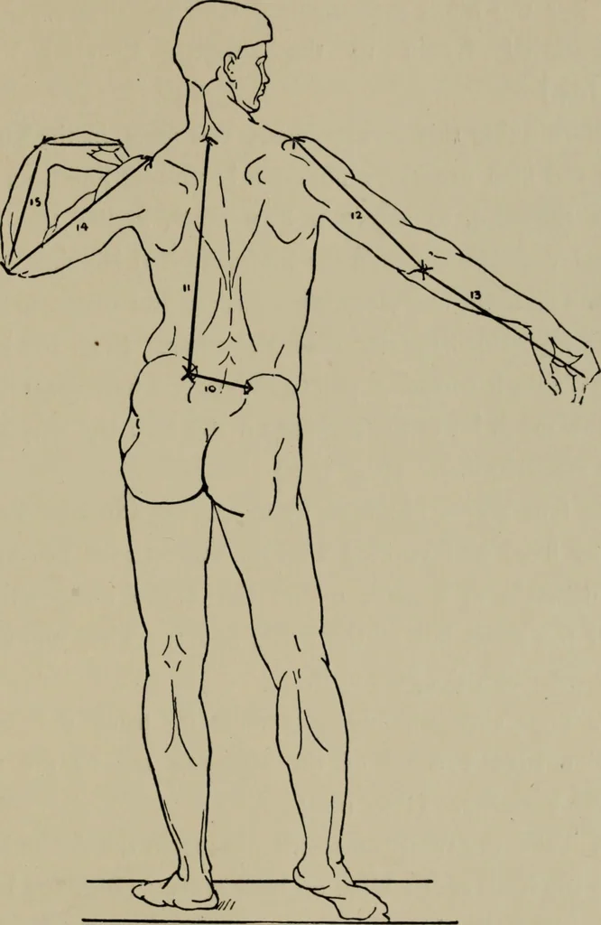 An illustration from Modelling; a guide for teachers and students, 1902, leaf 170