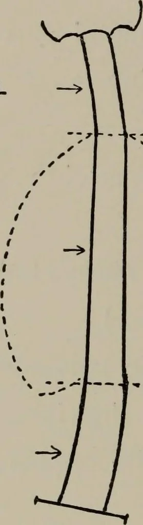 An illustration from Modelling; a guide for teachers and students, 1902, leaf 175