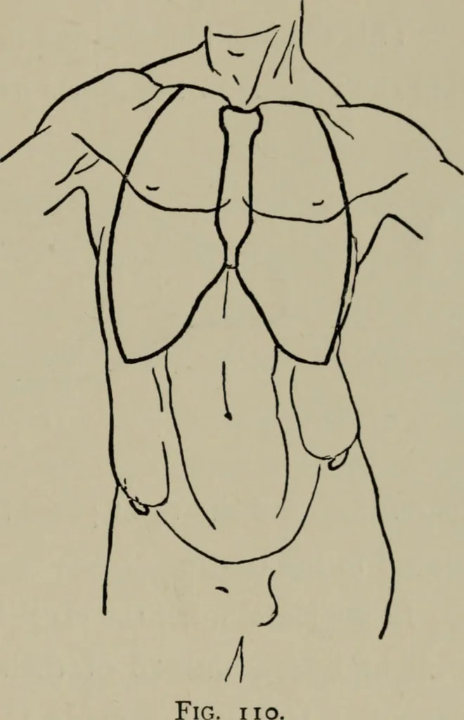 An illustration from Modelling; a guide for teachers and students, 1902, leaf 176