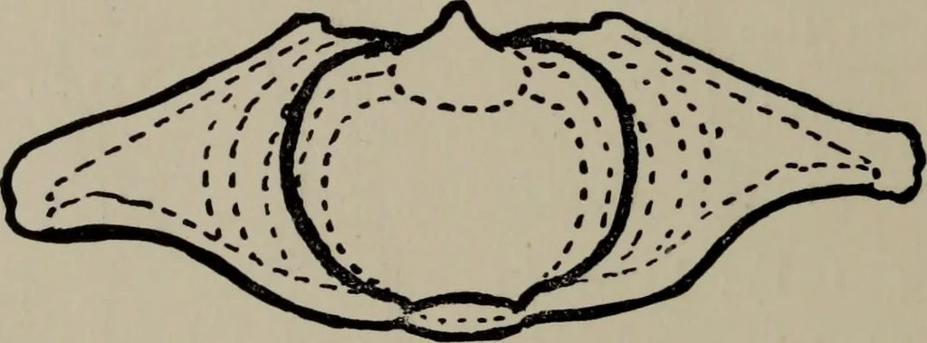An illustration from Modelling; a guide for teachers and students, 1902, leaf 177