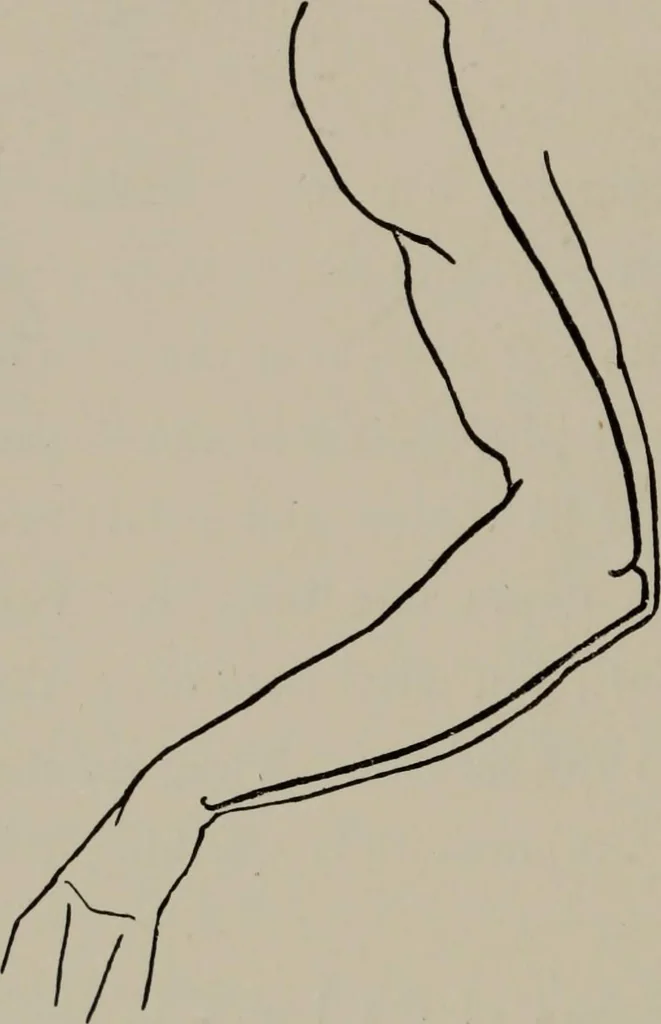 An illustration from Modelling; a guide for teachers and students, 1902, leaf 179