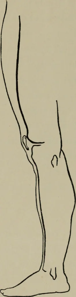 An illustration from Modelling; a guide for teachers and students, 1902, leaf 180