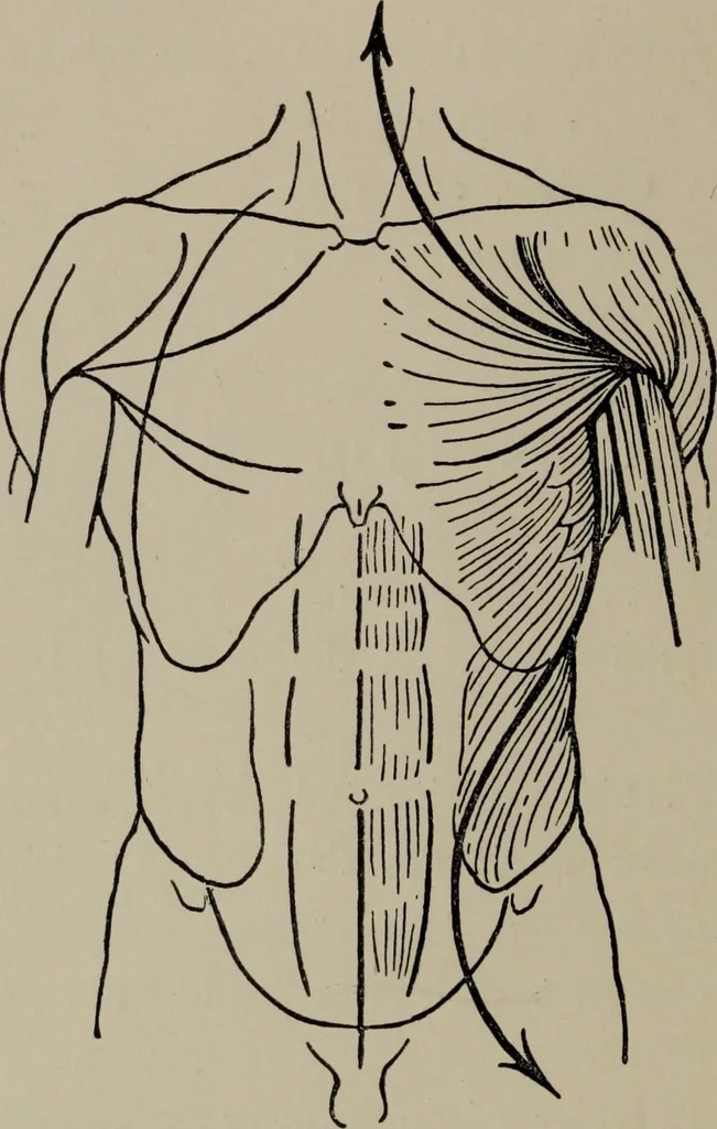 An illustration from Modelling; a guide for teachers and students, 1902, leaf 185