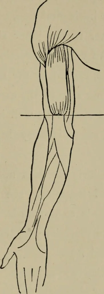 An illustration from Modelling; a guide for teachers and students, 1902, leaf 186