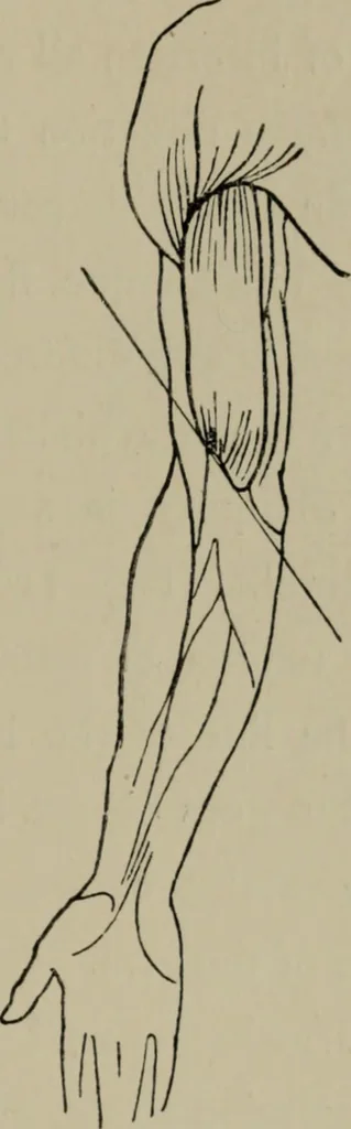 An illustration from Modelling; a guide for teachers and students, 1902, leaf 186