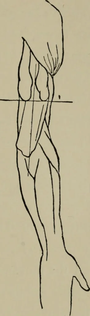 An illustration from Modelling; a guide for teachers and students, 1902, leaf 188