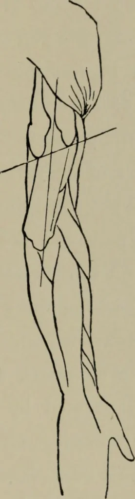 An illustration from Modelling; a guide for teachers and students, 1902, leaf 188