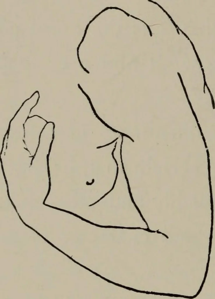 An illustration from Modelling; a guide for teachers and students, 1902, leaf 191