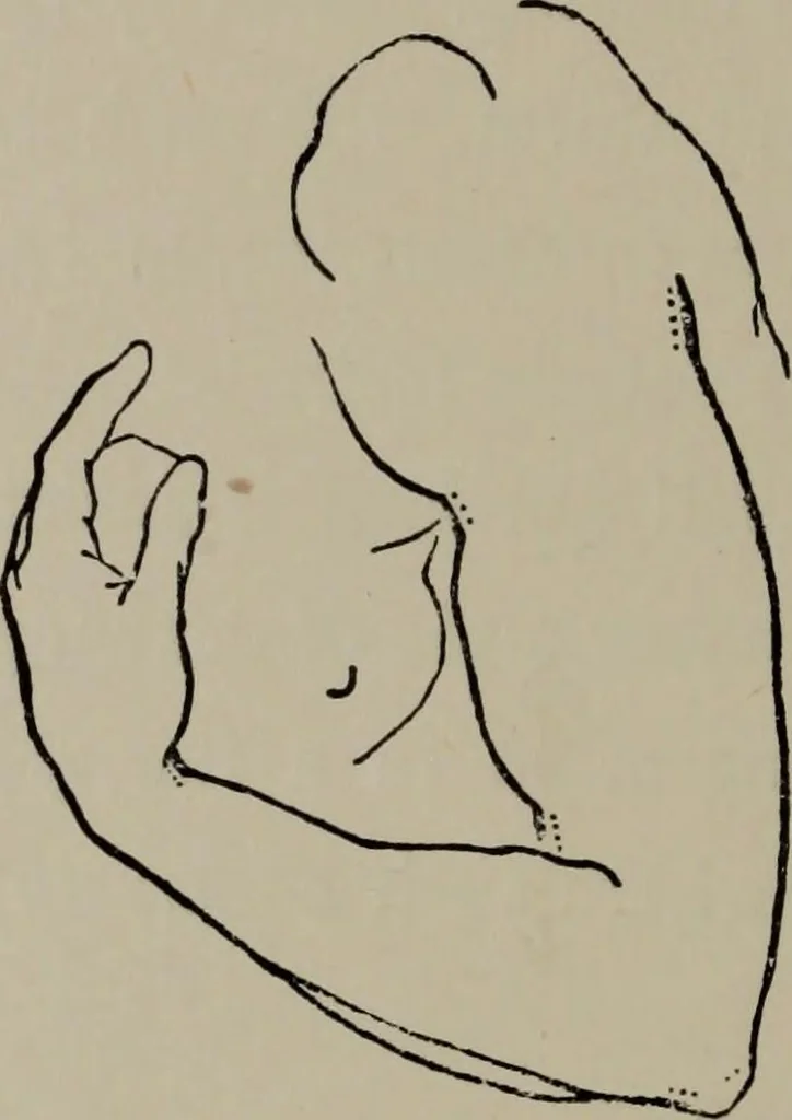 An illustration from Modelling; a guide for teachers and students, 1902, leaf 191