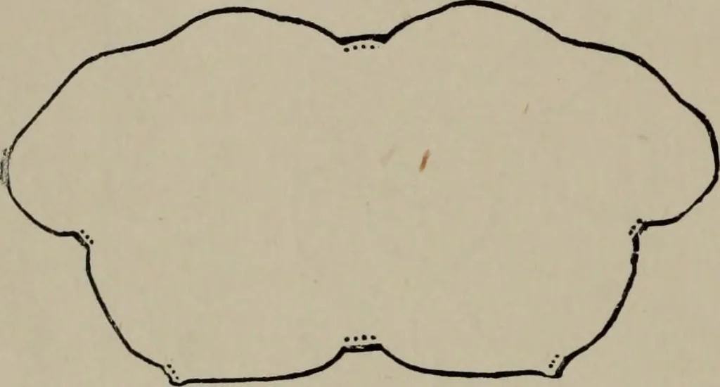 An illustration from Modelling; a guide for teachers and students, 1902, leaf 193