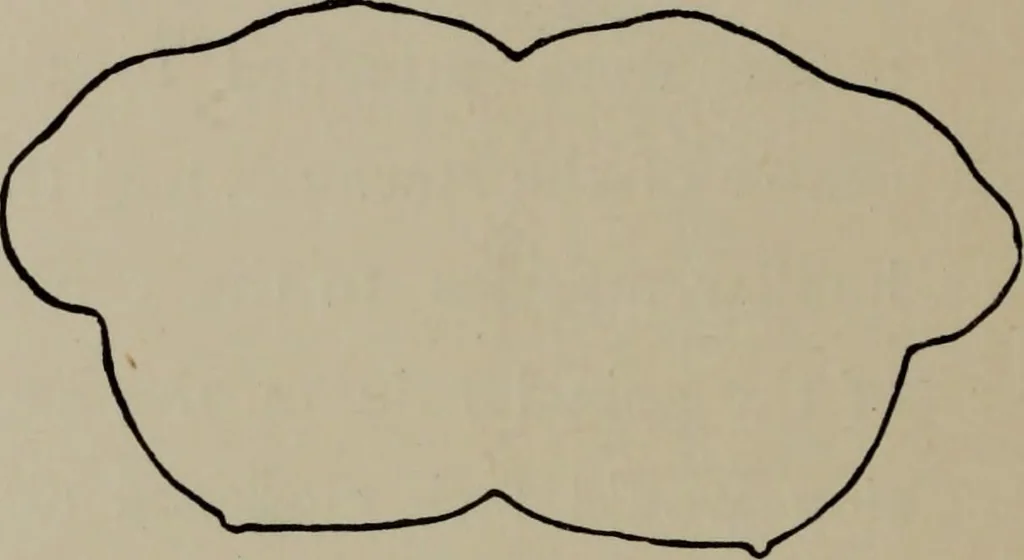 An illustration from Modelling; a guide for teachers and students, 1902, leaf 193