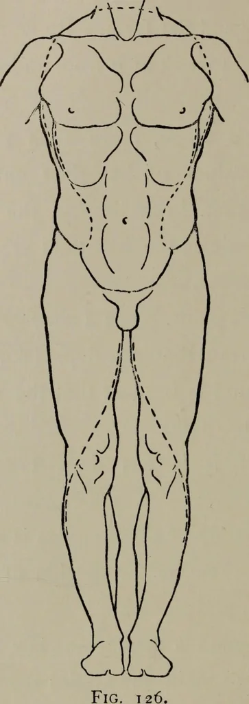 An illustration from Modelling; a guide for teachers and students, 1902, leaf 197