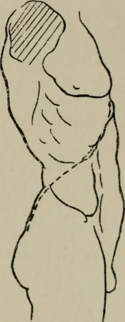 An illustration from Modelling; a guide for teachers and students, 1902, leaf 198