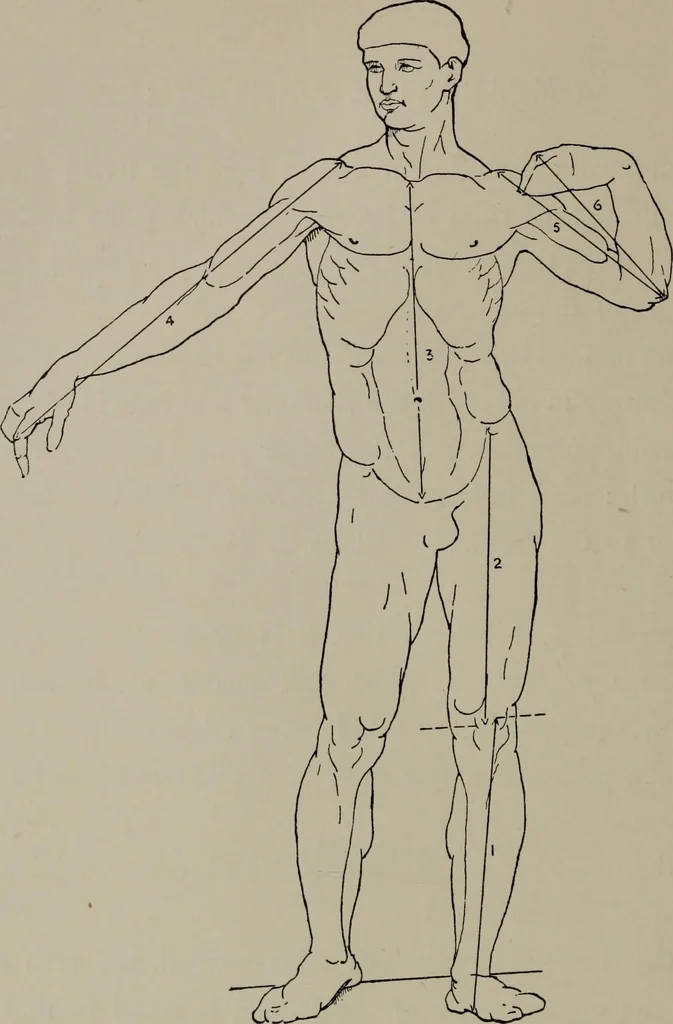 An illustration from Modelling; a guide for teachers and students, 1902, leaf 201