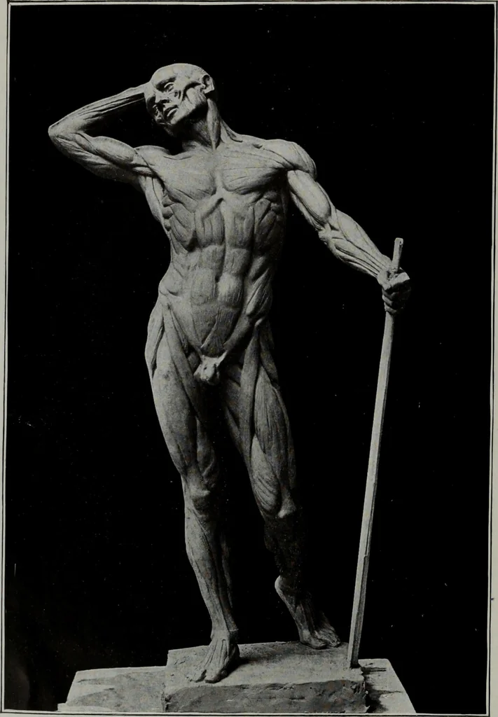 An illustration from Modelling; a guide for teachers and students, 1902, leaf 225