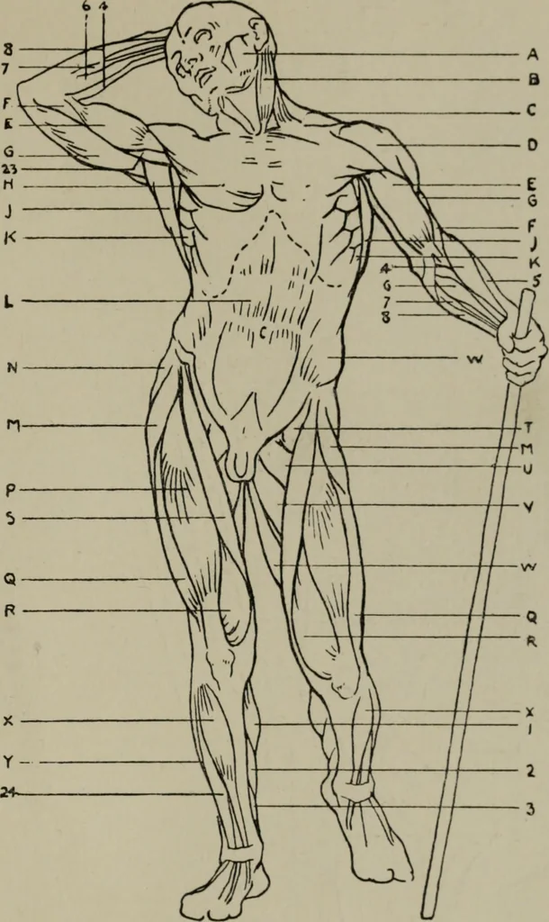 An illustration from Modelling; a guide for teachers and students, 1902, leaf 226