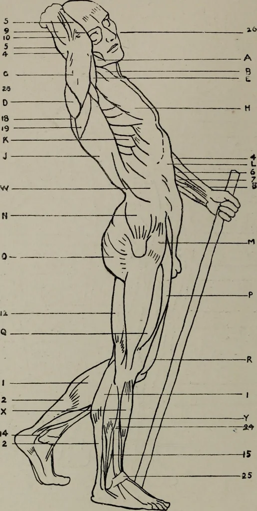 An illustration from Modelling; a guide for teachers and students, 1902, leaf 227