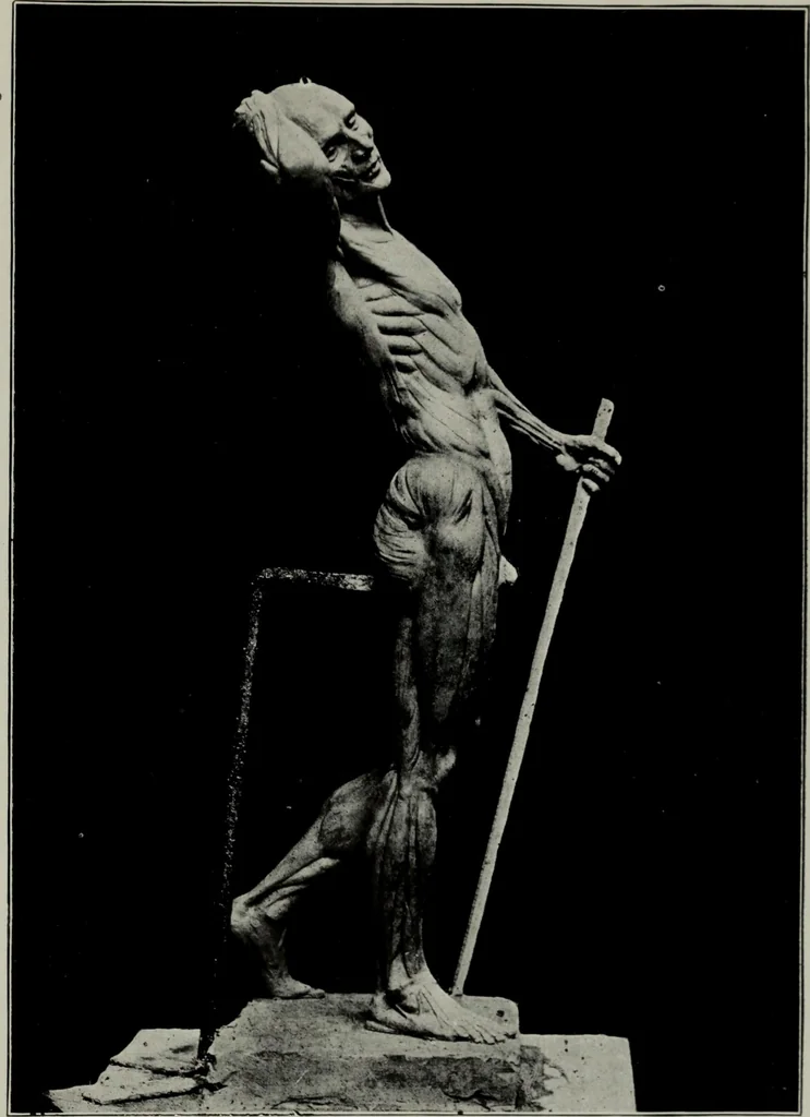 An illustration from Modelling; a guide for teachers and students, 1902, leaf 228