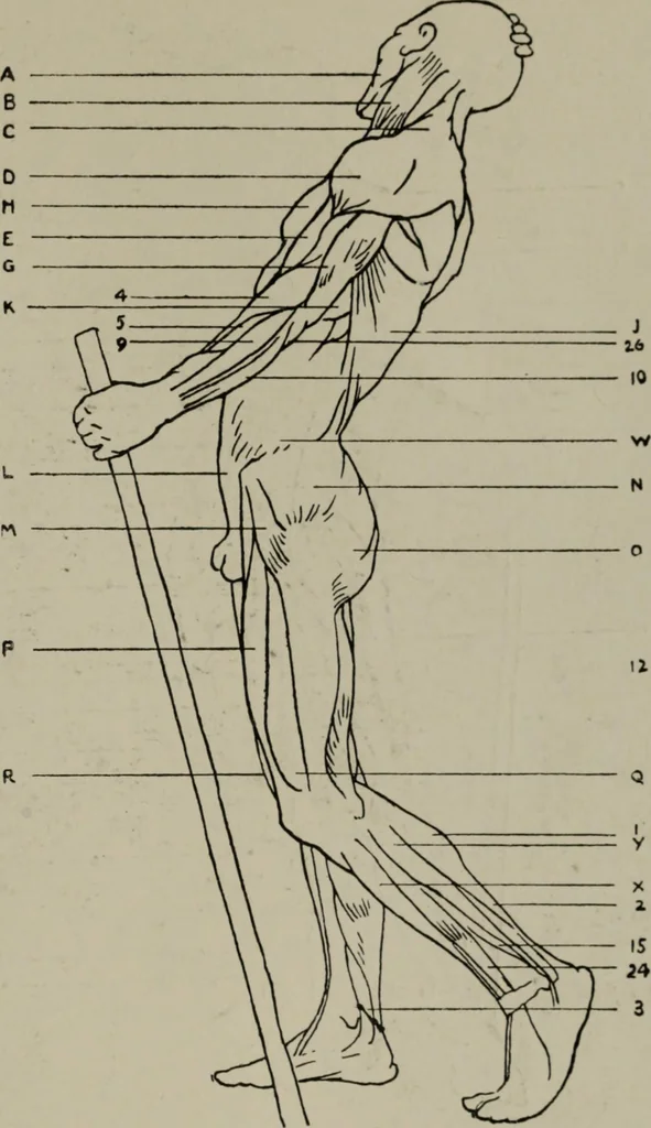 An illustration from Modelling; a guide for teachers and students, 1902, leaf 232