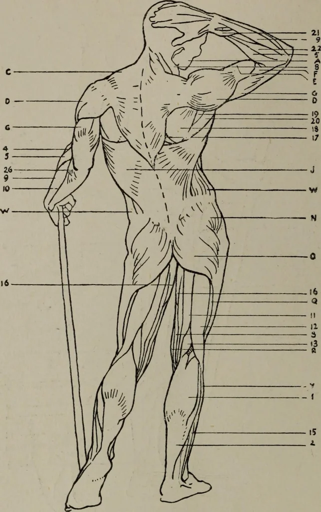 An illustration from Modelling; a guide for teachers and students, 1902, leaf 233