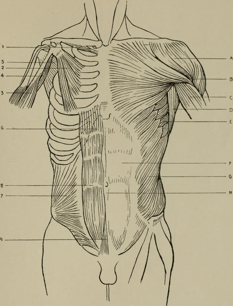 An illustration from Modelling; a guide for teachers and students, 1902, leaf 236