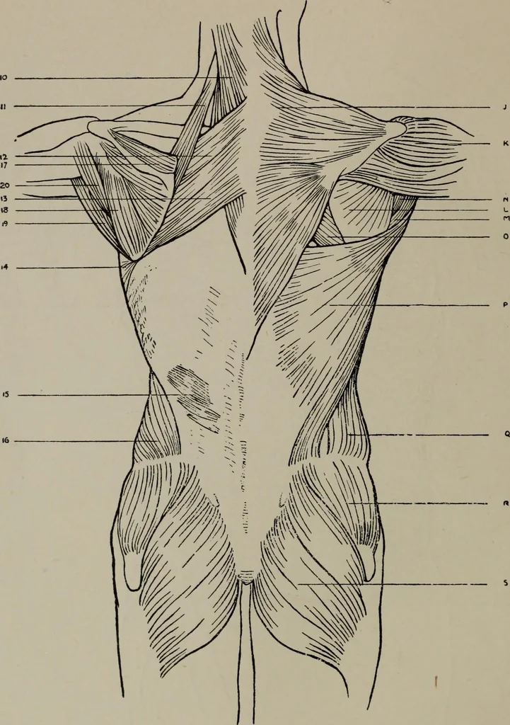 An illustration from Modelling; a guide for teachers and students, 1902, leaf 237