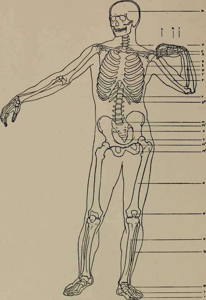 An illustration from Modelling; a guide for teachers and students, 1902, leaf 241