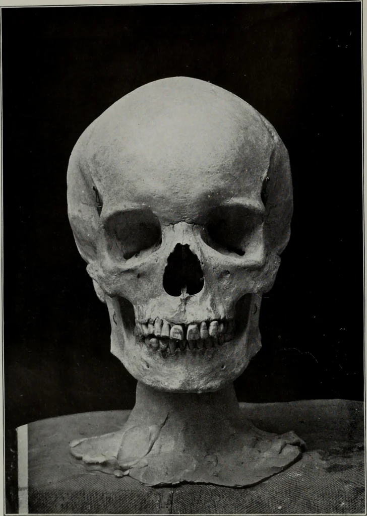 An illustration from Modelling; a guide for teachers and students, 1902, leaf 25