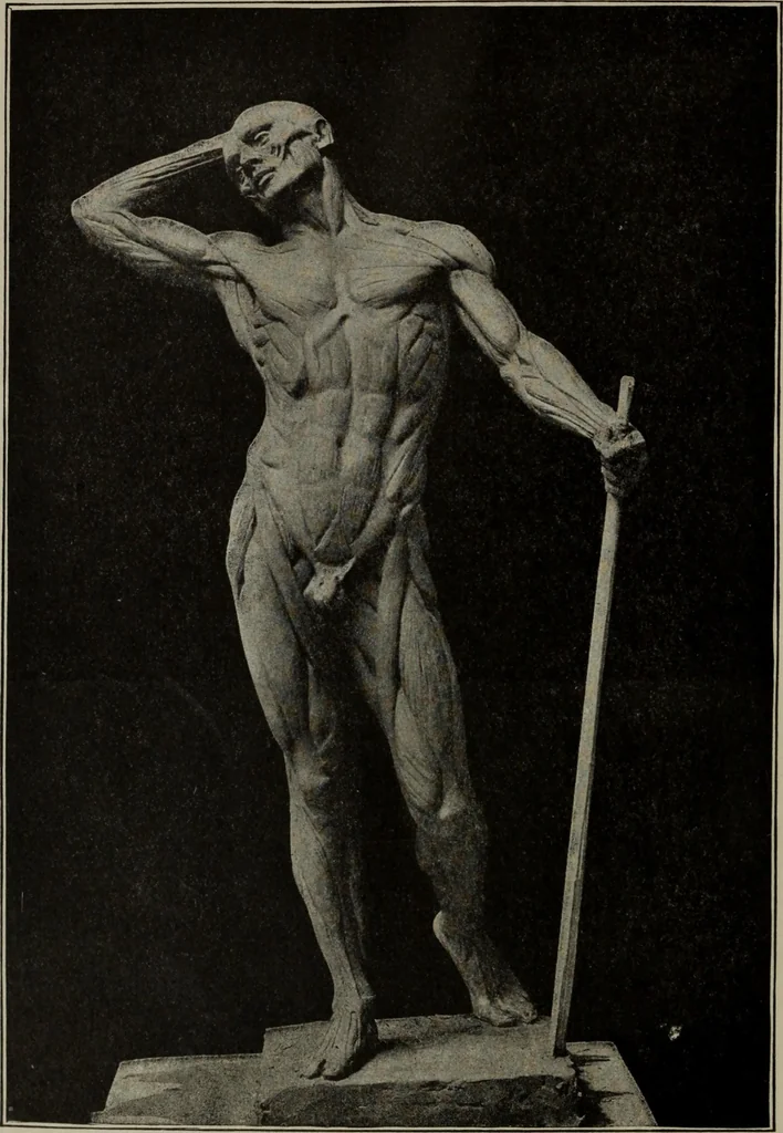 An illustration from Modelling; a guide for teachers and students, 1902, leaf 255