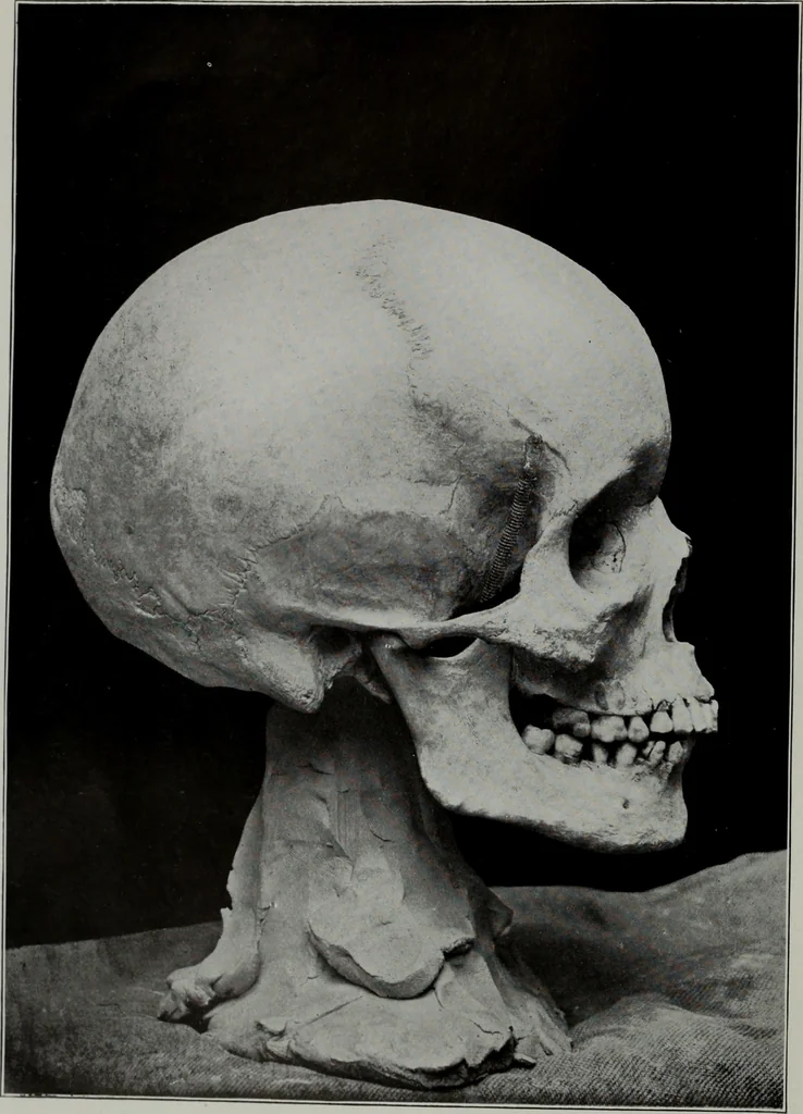 An illustration from Modelling; a guide for teachers and students, 1902, leaf 27