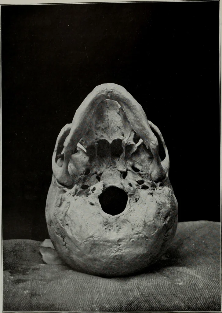An illustration from Modelling; a guide for teachers and students, 1902, leaf 29
