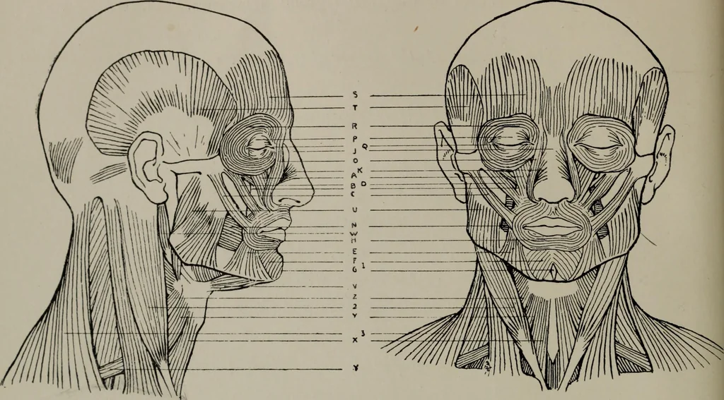 An illustration from Modelling; a guide for teachers and students, 1902, leaf 33